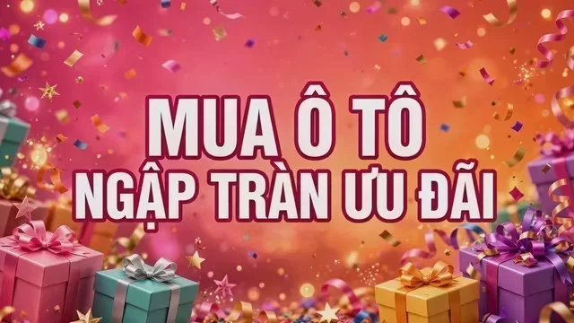 Địa điểm hỗ trợ xem xe tại Quảng Bình